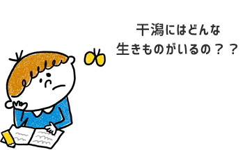 干潟にはどんな生きものがいるの？